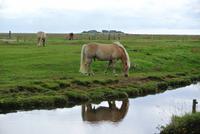 Hallig Hooge &ndash; &copy; Gerd Przybyla (Eberhardt TRAVEL)