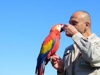 Im Vogelpark Walsrode &ndash; &copy; Petra Hanschke (Eberhardt TRAVEL)