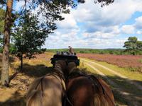 Kutschfahrt &ndash; &copy; Petra Hanschke (Eberhardt TRAVEL)