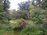 Riedergarten Rosenheim &ndash; &copy; Elke Reuter (Eberhardt TRAVEL)