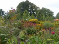 Klostergarten &ndash; &copy; Elke Reuter (Eberhardt TRAVEL)