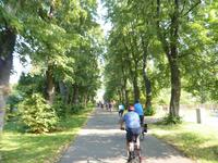 durch den Auwald &ndash; &copy; Nicole Fischer (Eberhardt TRAVEL)