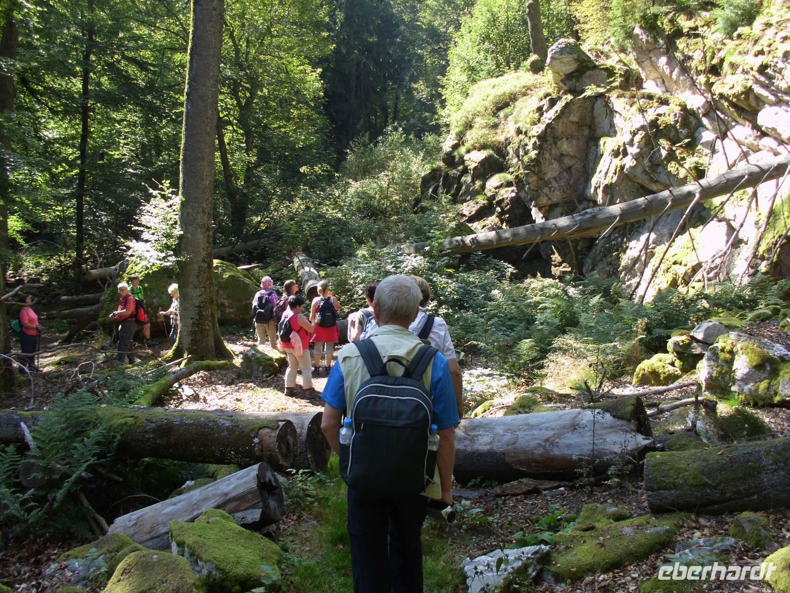 Wildkatzenparadies &ndash; &copy; Andreas Böcker (Eberhardt TRAVEL)