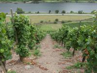 Steillage &ndash; &copy; Andreas Böcker (Eberhardt TRAVEL)