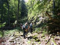 Wildkatzenparadies &ndash; &copy; Andreas Böcker (Eberhardt TRAVEL)