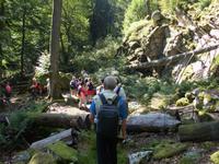 Wildkatzenparadies &ndash; &copy; Andreas Böcker (Eberhardt TRAVEL)