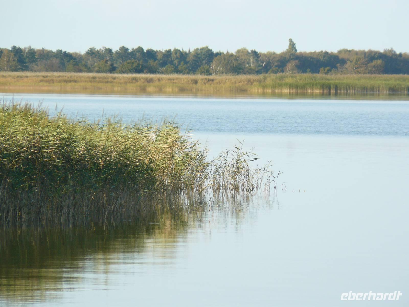 Am Boddden &ndash; &copy; Margret van Blokland (Eberhardt TRAVEL)