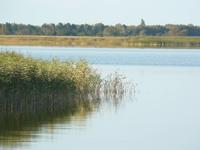 Am Boddden &ndash; &copy; Margret van Blokland (Eberhardt TRAVEL)