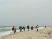 Darßer Weststrand &ndash; &copy; Margret van Blokland (Eberhardt TRAVEL)