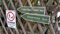 die letzten Meter zum Gipfel