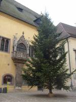 am Rathaus &ndash; &copy; Elke Reuter (Eberhardt TRAVEL)