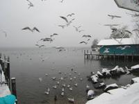 Spaziergang am Ammersee &ndash; &copy; Gisela Gerlach (Eberhardt TRAVEL)