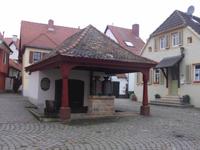 Freinsheim - ehemalige Eiche