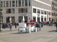 Unter den Linden &ndash; &copy; Elke Reuter (Eberhardt TRAVEL)