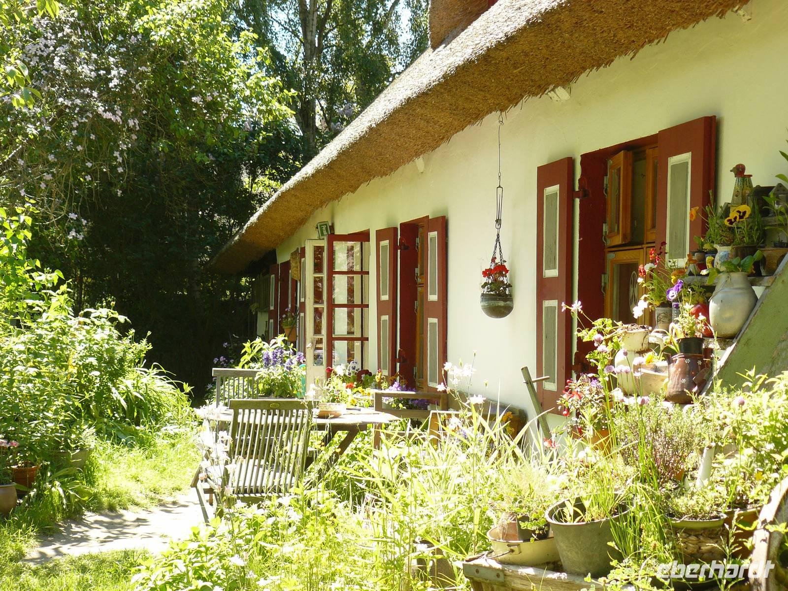 Dornenhaus in Ahrenshoop &ndash; &copy; Margret van Blokland (Eberhardt TRAVEL)