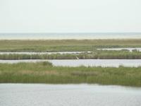 Darsser Ort &ndash; &copy; Margret van Blokland (Eberhardt TRAVEL)
