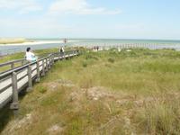 Strand bei Prerow