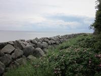 am Steindamm Thiessow &ndash; &copy; Annett Haußig (Eberhardt TRAVEL)
