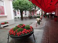 Gartencafe Reber &ndash; &copy; Elke Reuter (Eberhardt TRAVEL)