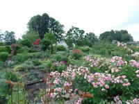 Klostergarten &ndash; &copy; Elke Reuter (Eberhardt TRAVEL)