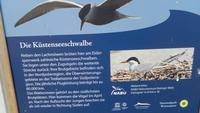 Brutgebiet &ndash; &copy; Heike Meinhold (Eberhardt TRAVEL)