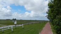 Hallig Hooge &ndash; &copy; Heike Meinhold (Eberhardt TRAVEL)