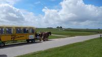 Hallig Hooge &ndash; &copy; Heike Meinhold (Eberhardt TRAVEL)