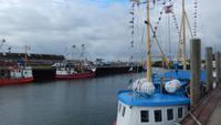 Hafen Büsum &ndash; &copy; Heike Meinhold (Eberhardt TRAVEL)