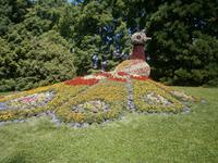 Ebenso ein Pfau &ndash; &copy; Karl-Heinz Meinig (Eberhardt TRAVEL)