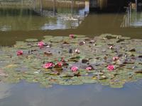 DSC06513 &ndash; &copy; Kerstin Hugel (Eberhardt TRAVEL)