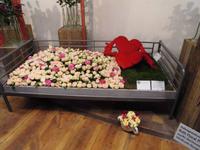 auf Rosen gebettet &ndash; &copy; Eva-Maria Strauß-Eberhardt (Eberhardt TRAVEL)