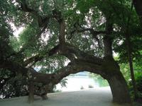 Mainau Impressionen &ndash; &copy; Walburga Lindner (Eberhardt TRAVEL)
