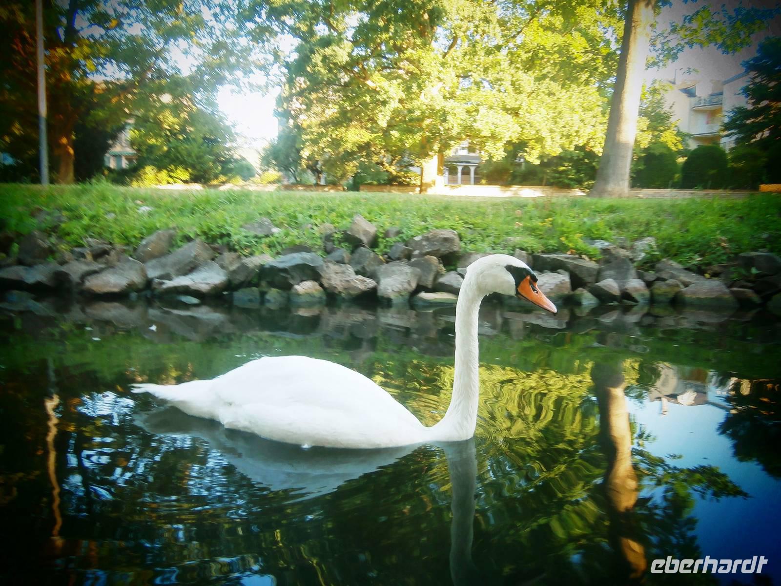 Flußimpressionen &ndash; &copy; Peggy Pfützner (Eberhardt TRAVEL)