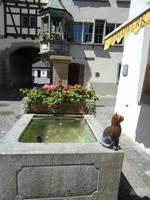 28_Stein_am_Rhein_5 &ndash; &copy; Walburga Lindner (Eberhardt TRAVEL)