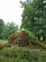 6_Mainau_Impressionen_2 &ndash; &copy; Walburga Lindner (Eberhardt TRAVEL)