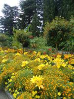 9_Mainau_Impressionen_5 &ndash; &copy; Walburga Lindner (Eberhardt TRAVEL)