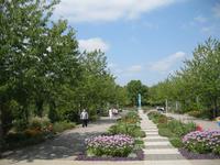 IMG_4402Rosarium Sangerhausen &ndash; &copy; Kerstin Veit (Eberhardt TRAVEL)