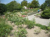 IMG_4424Staudengarten &ndash; &copy; Kerstin Veit (Eberhardt TRAVEL)