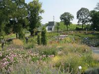 IMG_4439Gräsergestaltung - Feengarten &ndash; &copy; Kerstin Veit (Eberhardt TRAVEL)
