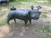 IMG_4442 Elch -Schweine -Mops &ndash; &copy; Kerstin Veit (Eberhardt TRAVEL)