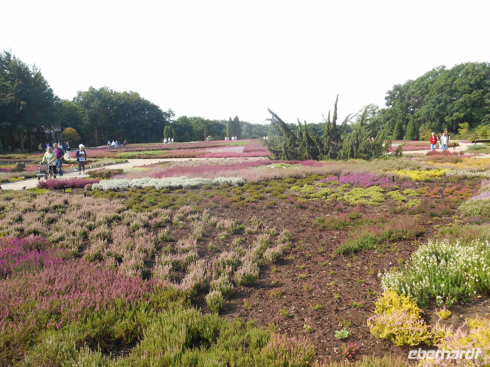 Landschaftsschutzgebiet Höpen (Heidegarten) &ndash; &copy; Katrin Deutschbein (Eberhardt TRAVEL)