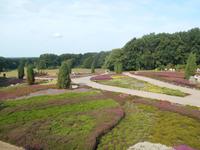 Landschaftsschutzgebiet Höpen (Heidegarten) &ndash; &copy; Katrin Deutschbein (Eberhardt TRAVEL)