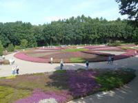 Landschaftsschutzgebiet Höpen (Heidegarten) &ndash; &copy; Katrin Deutschbein (Eberhardt TRAVEL)