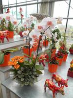Orchideenzentrum Wichmann in Celle &ndash; &copy; Katrin Deutschbein (Eberhardt TRAVEL)