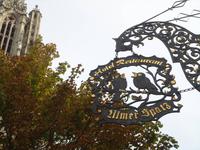 59_Spatz v.Ulm_2 &ndash; &copy; Walburga Lindner (Eberhardt TRAVEL)