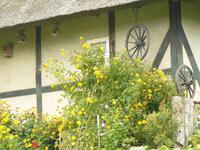 Darßhof &ndash; &copy; Margret van Blokland (Eberhardt TRAVEL)