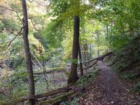 Herbstwanderung durchs Bodetal