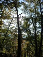 Herbstwanderung durchs Bodetal &ndash; &copy; Cornelia Ritter (Eberhardt TRAVEL)