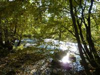 Herbstimpression an der Bode