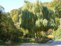 Herbstimpression &ndash; &copy; Cornelia Ritter (Eberhardt TRAVEL)
